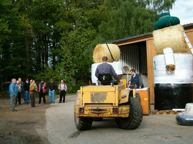 Efting Hook - Einigkeit-01.JPG